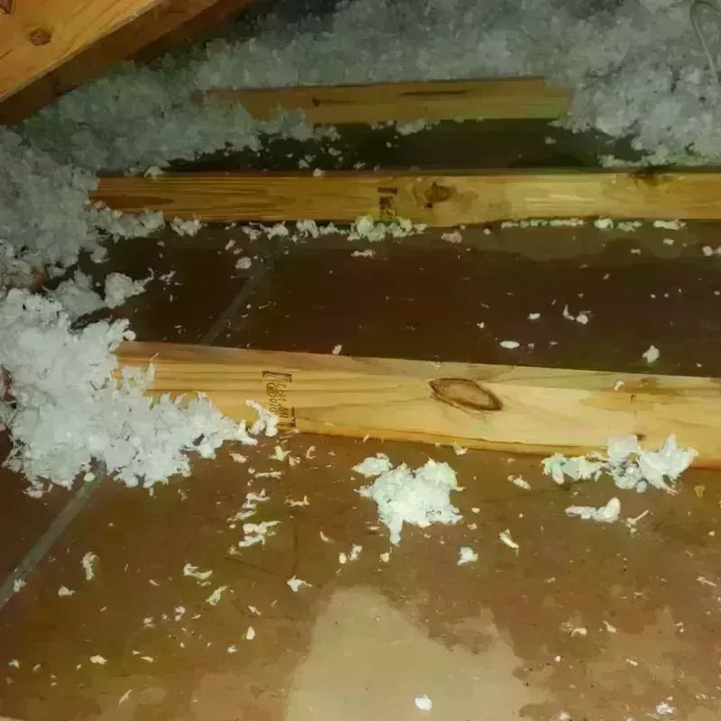 Attic Water Damage in Saraland, AL