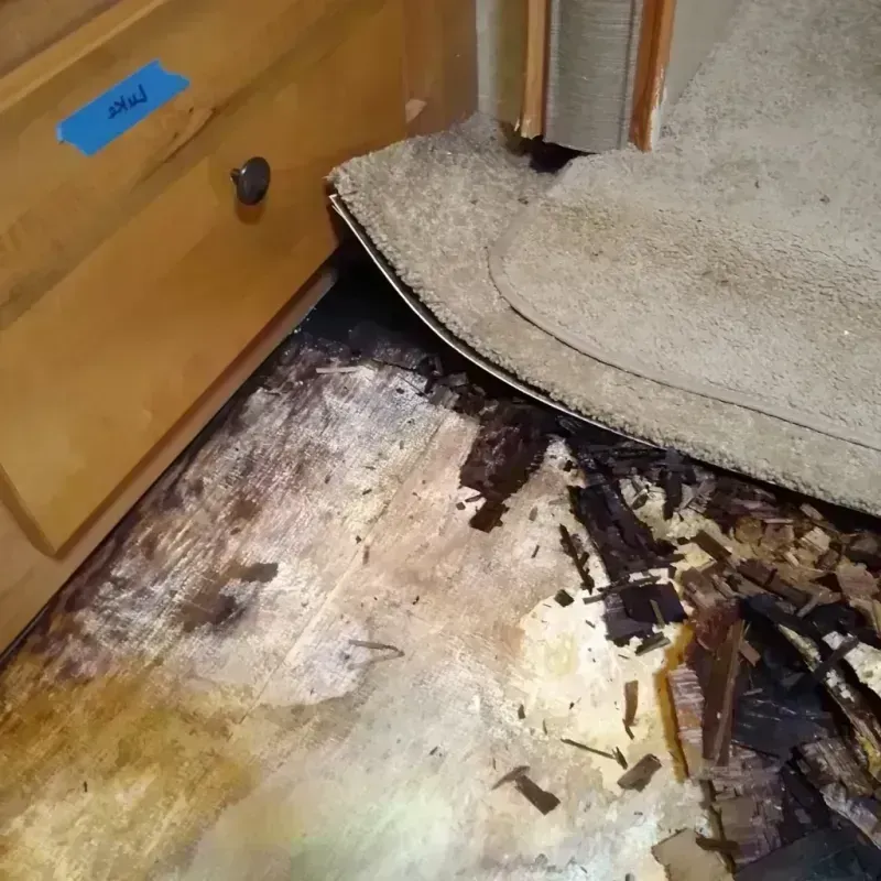 Wood Floor Water Damage in Saraland, AL